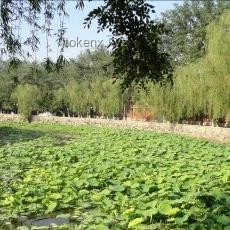 北大湖水变商品：跨界营销与创新边界探索
